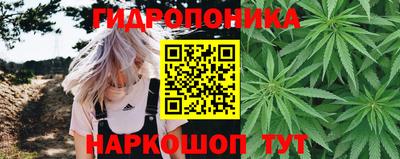 шишки Краснокаменск