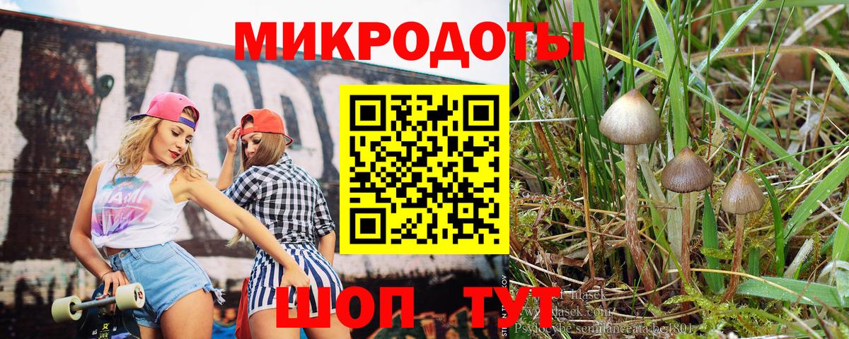 цены наркотик  Вход с VPN  Галлюциногенные грибы мицелий  Долгопрудный  Галлюциногенные грибы MAGIC MUSHROOMS 